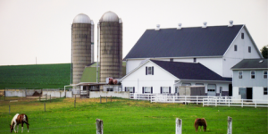 Ubezpieczenie budynków i mienia w gospodarstwie